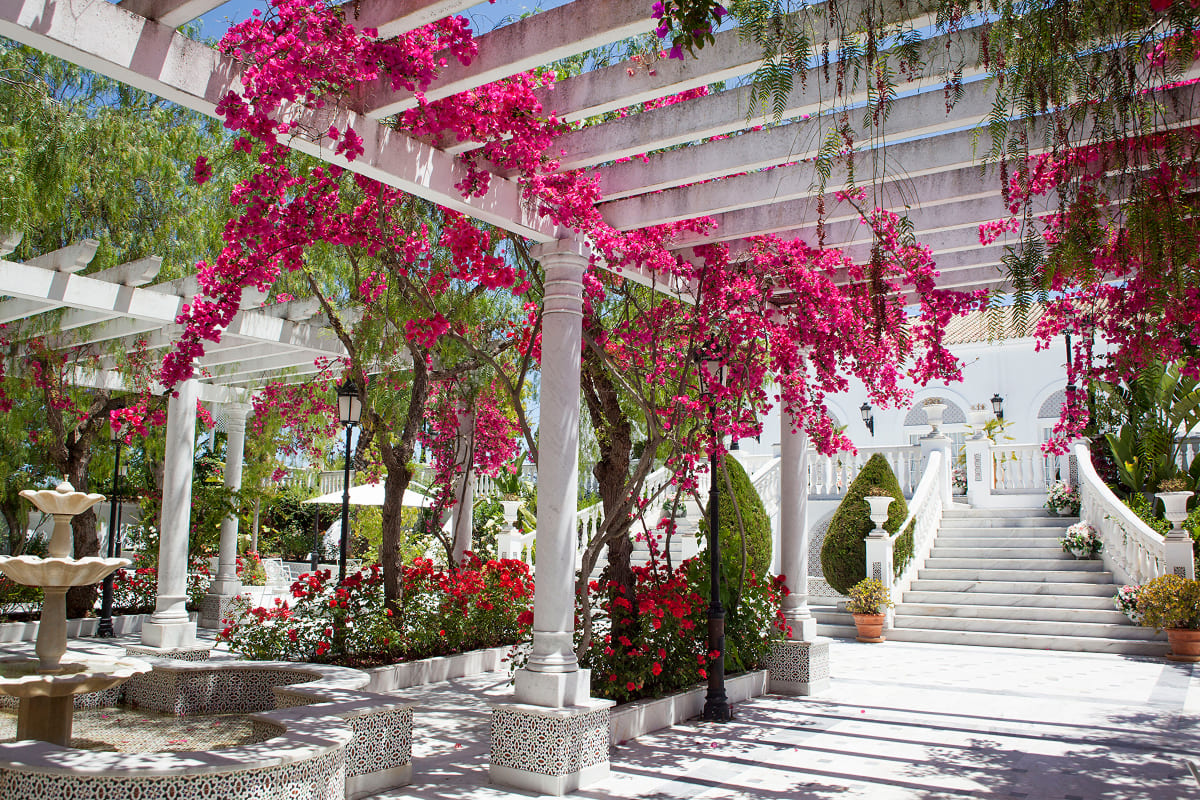 Zona exterior de Hacienda Azahares con jardines amplios y áreas verdes