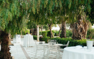 eventocorporativo-hacienda-azahares-homeserver-aniversario (6) Montaje de cóctel al aire libre con mesas altas en jardín de hacienda